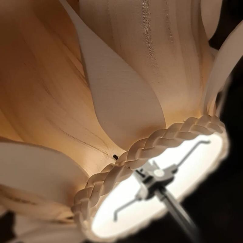 WhatsApp Image 2023-11-25 at 15.54.21 (2)