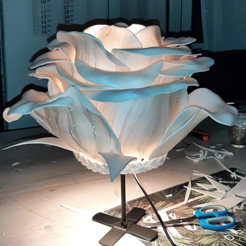 WhatsApp Image 2023-11-25 at 15.54.21