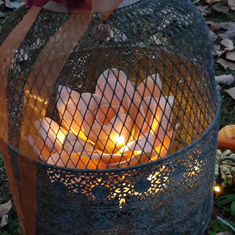 WhatsApp Image 2023-11-25 at 15.54.24 (1)