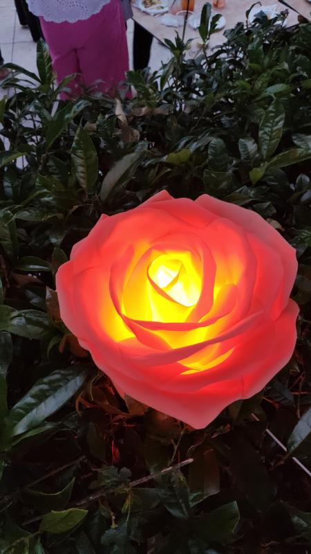 IMG_20240608_210921188