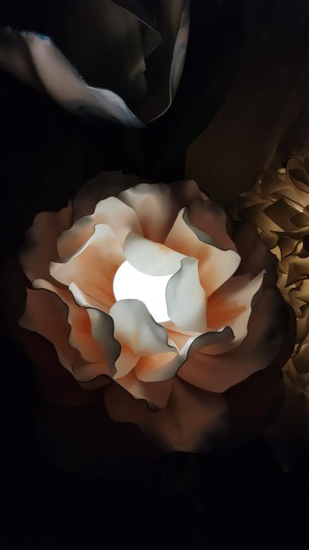 IMG_20240610_183003075