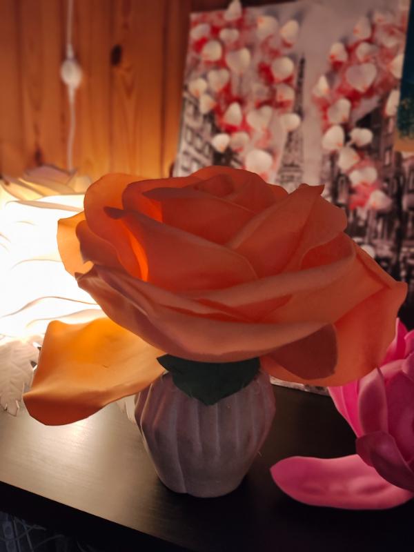 IMG_20240610_183320852_MF_PORTRAIT