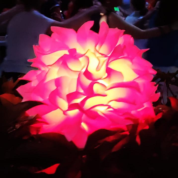 IMG_20240612_173457_928