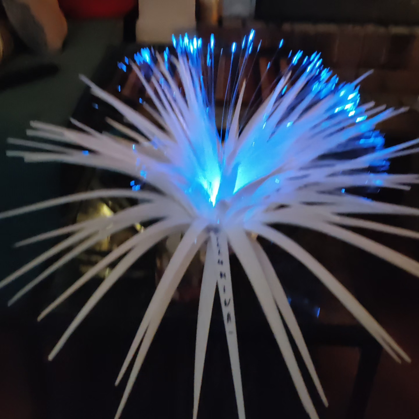 IMG_20240522_161111_634