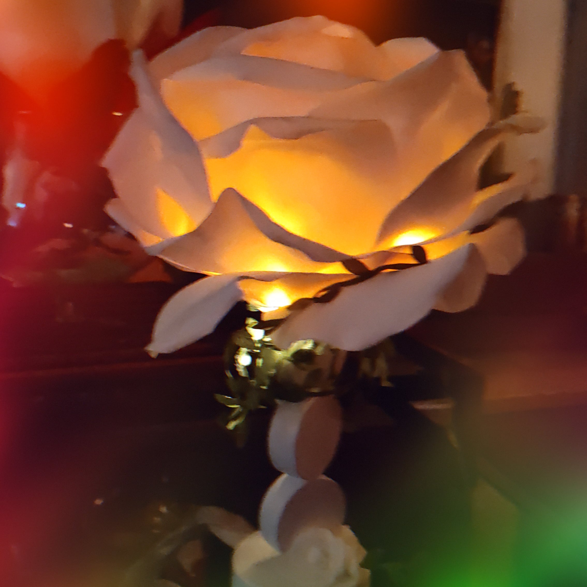 IMG_20240614_212942_253