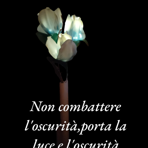 Photoroom-20240822_203600