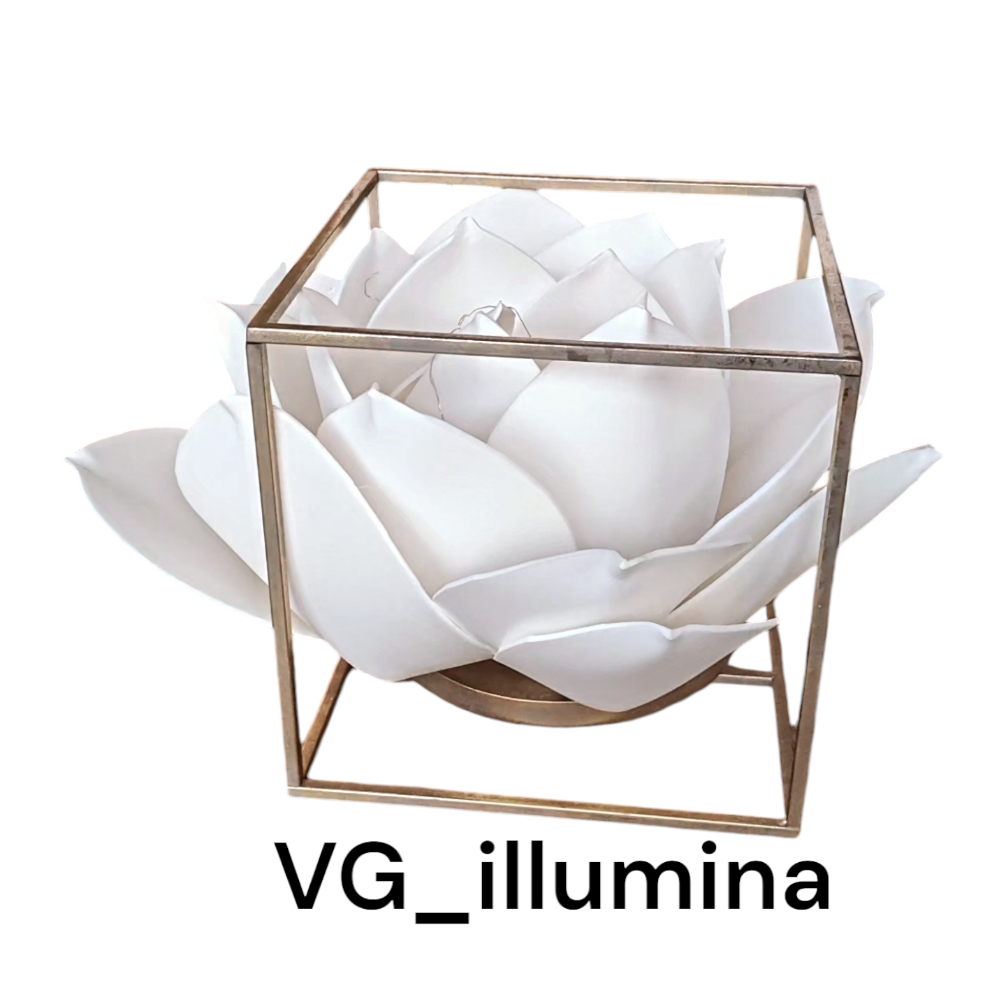 Photoroom-20240913_180848