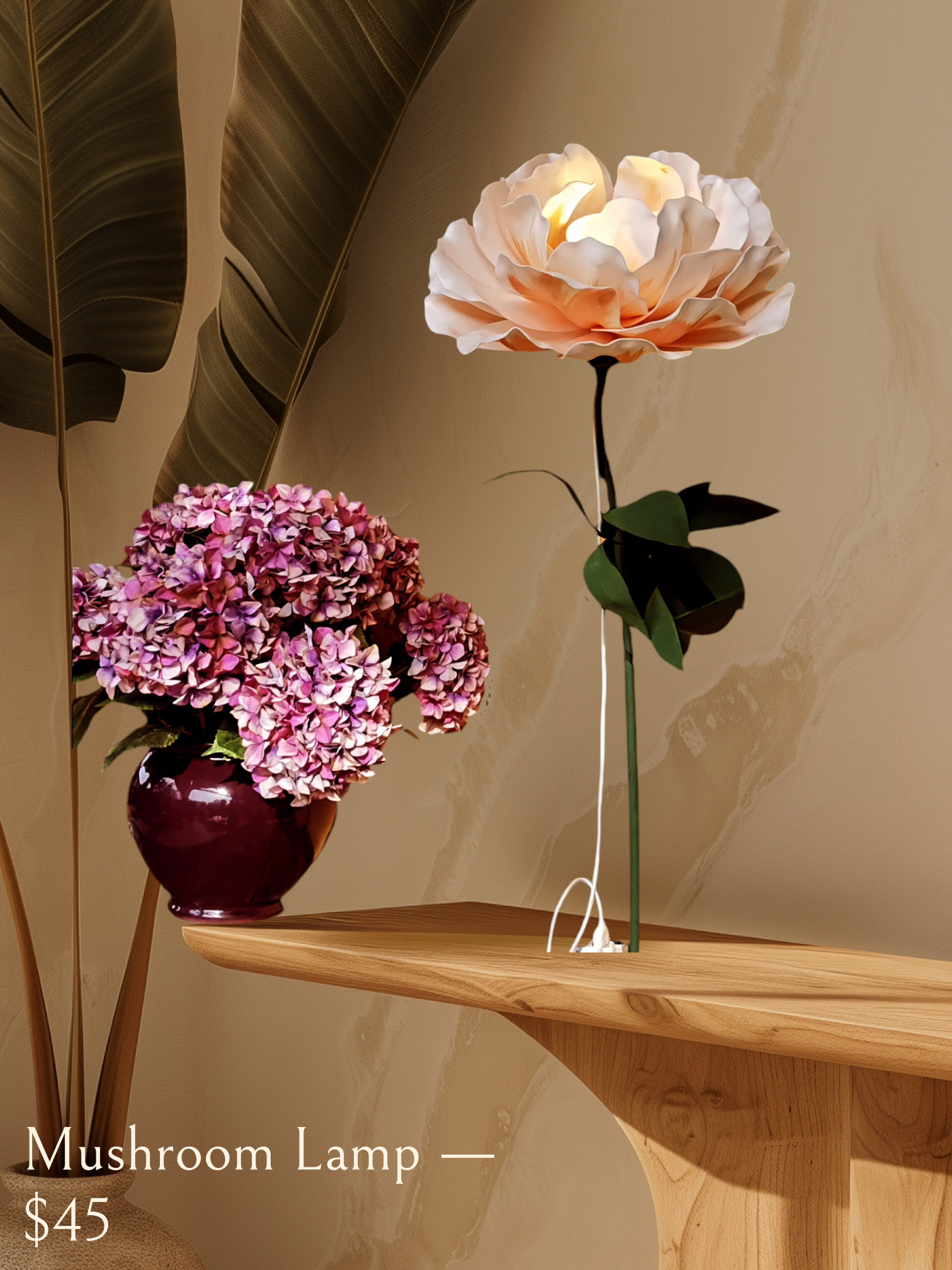 Photoroom-20240923_205618