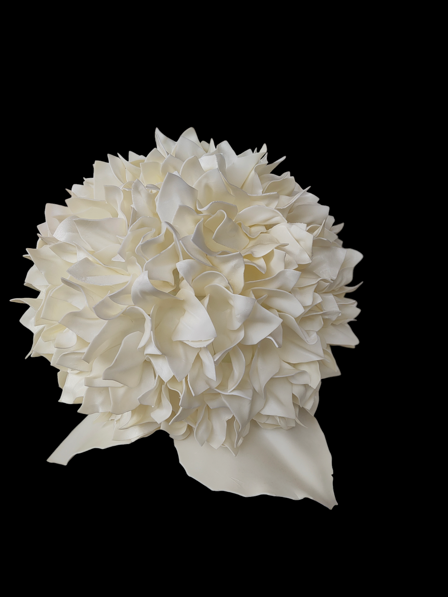 Photoroom-20240923_210108