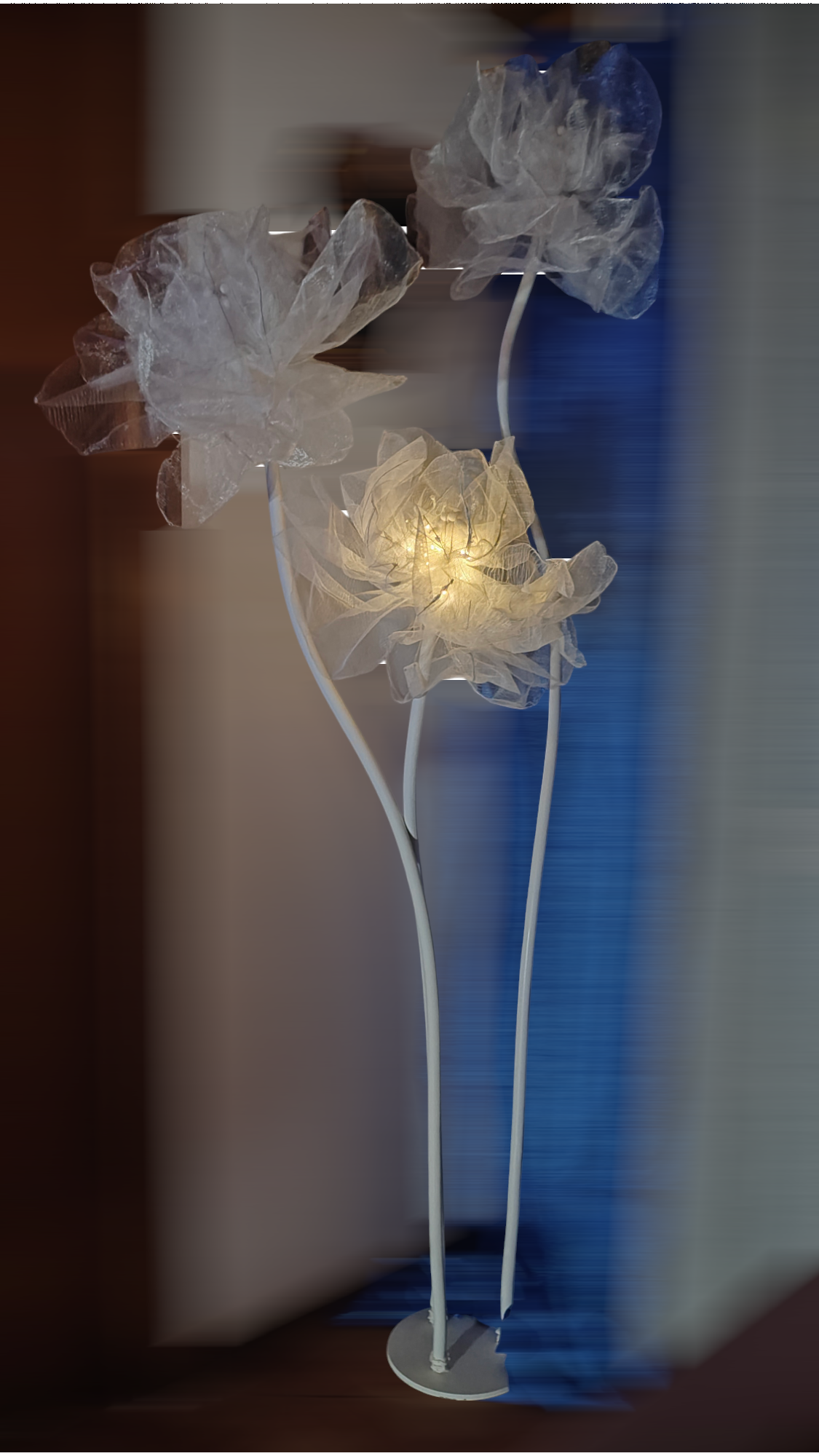 Photoroom-20240925_214412