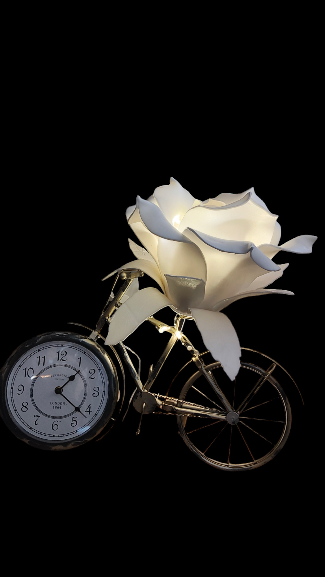 Photoroom-20241018_132458