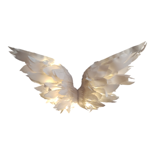 Photoroom-20241018_135614