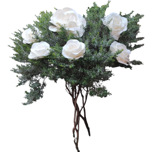 Photoroom-20241108_183836