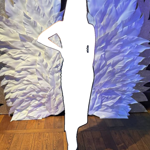 Photoroom-20241109_202221