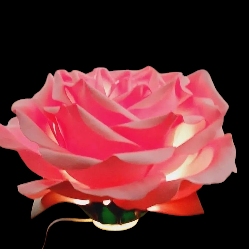 Photoroom-20241109_202312