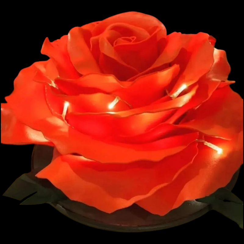 Photoroom-20241109_202624