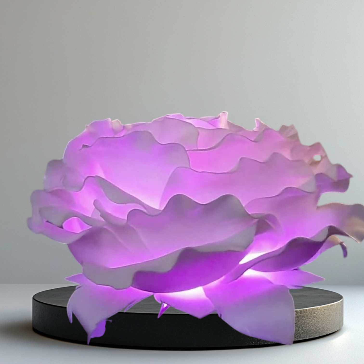 Photoroom-20241109_225248