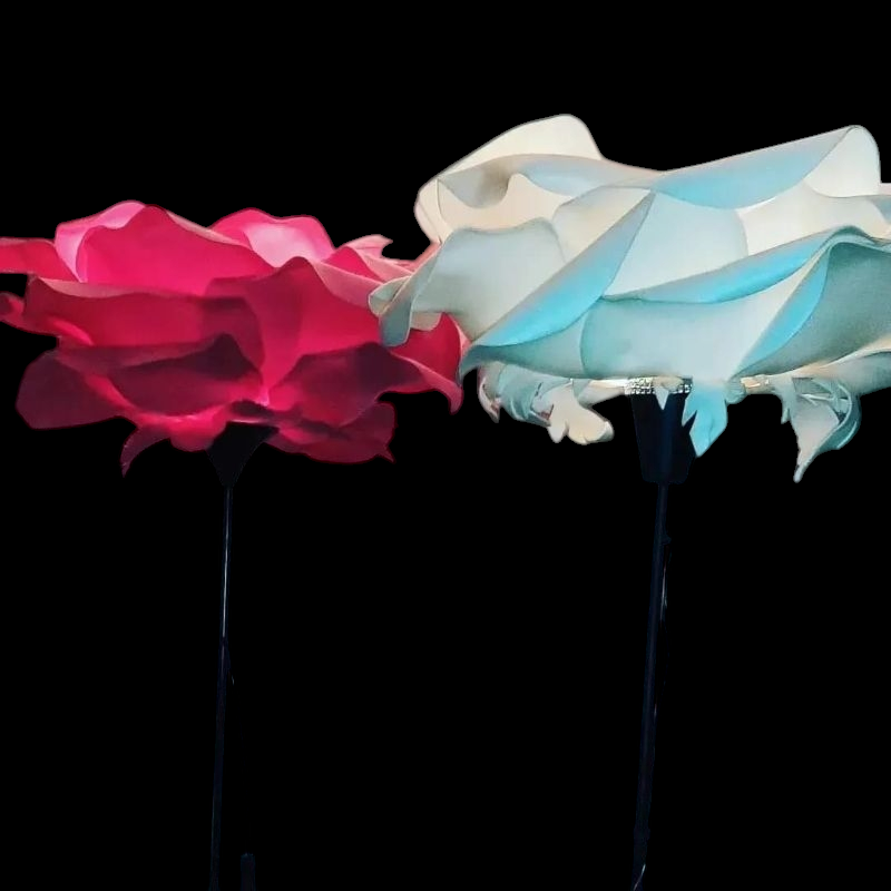 Photoroom-20241110_114631