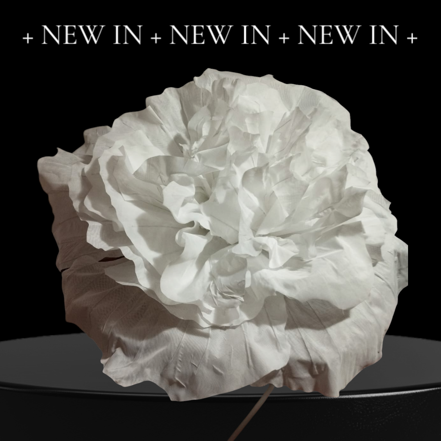 Photoroom-20241125_161830